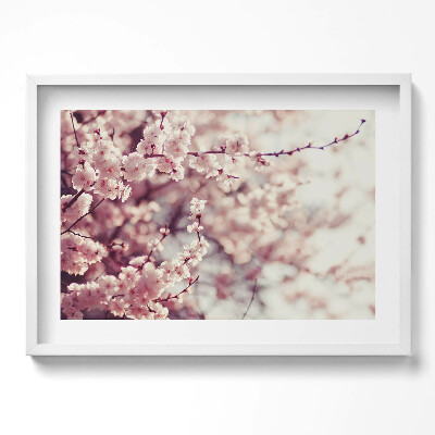 Obraz w ramie Kwitnienie wiosennych kwiatów