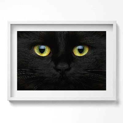 Obraz w ramie Zwierzę kocie oczy
