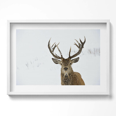 Obraz w ramie Dostojne zwierzę jeleń