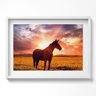 Obraz w ramie Koń na polu o zachodzi słońca