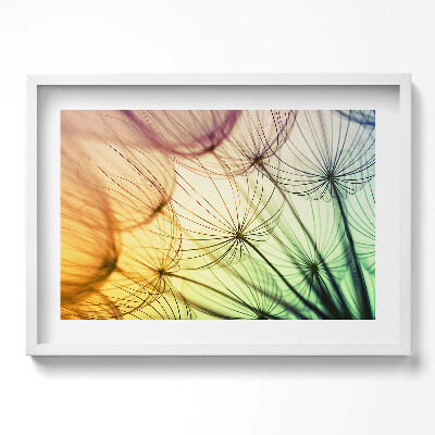 Obraz w ramie Delikatne pyłki dmuchawca