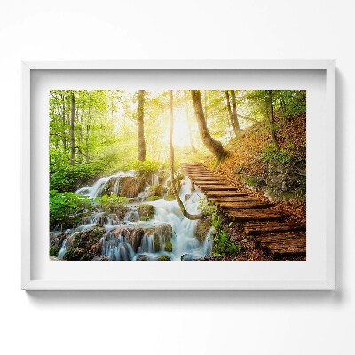 Obraz w ramie Strumień i schody w lesie