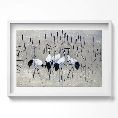 Obraz w ramie Żurawie w trzcinie