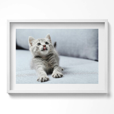 Obraz w ramie Uroczy mały kotek na kanapie