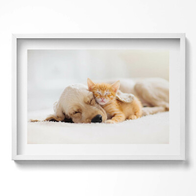 Obraz w ramie Śpiące zwierzęta kot i pies