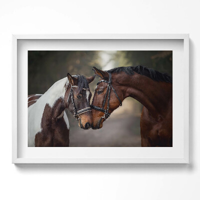 Obraz w ramie Portret koni w lesie