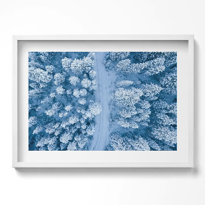 Obraz w ramie Las z lotu ptaka Dron