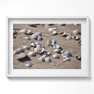 Obraz w ramie Muszelki na plaży