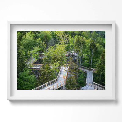 Obraz w ramie Ścieżka w Krynicy Zdroju