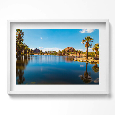Obraz w ramie Sceneria parku Papago