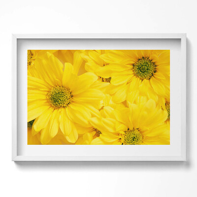 Obraz w ramie Kwiaty płatki