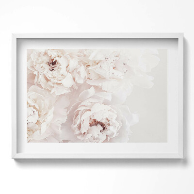 Obraz w ramie Pastelowe piwonie