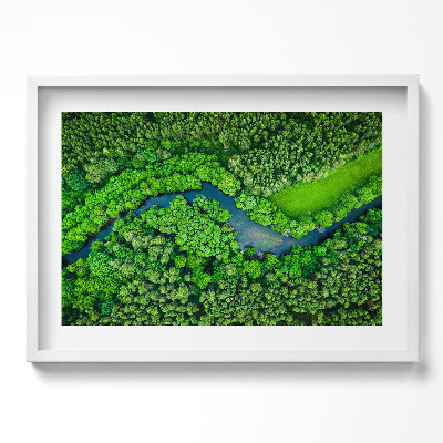 Obraz w ramie Las i rzeka z lotu ptaka