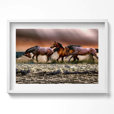 Obraz w ramie Pędzące w wodzie konie