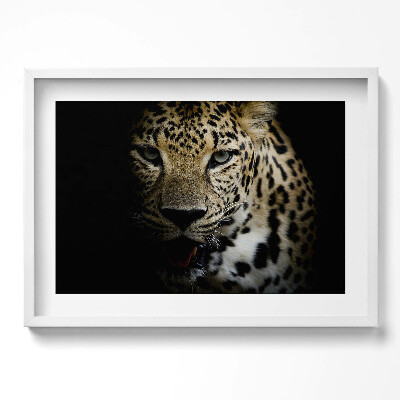 Obraz w ramie Dziki kot tygrys w czerni