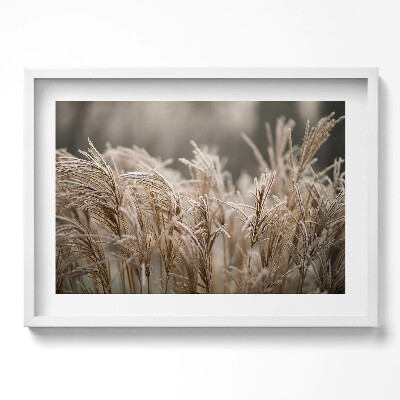 Obraz w ramie Boho delikatne trawy