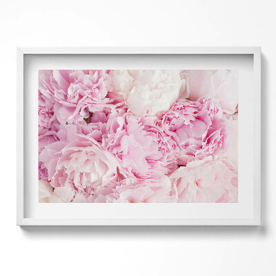 Obraz w ramie Delikatne kwiaty piwonie