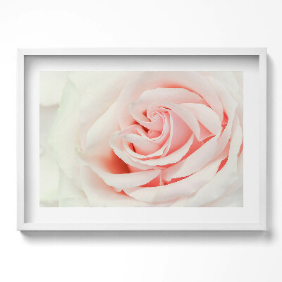 Obraz w ramie Zbliżenie na płatki róży