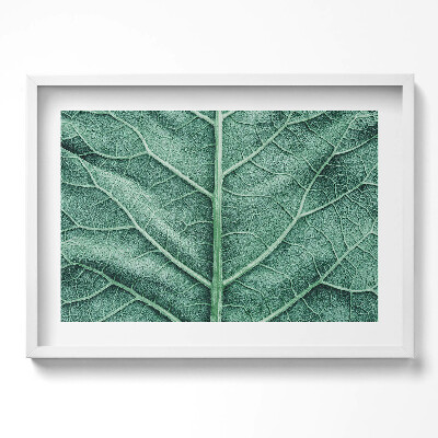 Obraz w ramie Zbliżenie na żyłki liścia