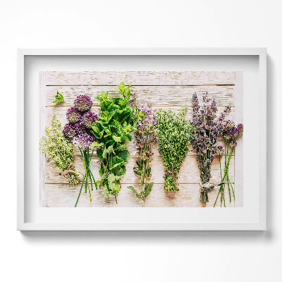 Obraz w ramie Rośliny i zioła na deskach