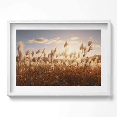 Obraz w ramie Romantyczny zachód słońca nad trawami