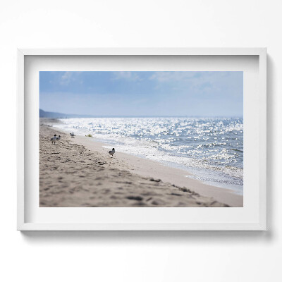 Obraz w ramie Morskie fale i ptak na plaży