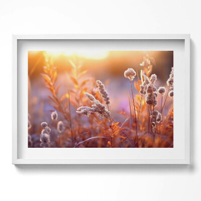 Obraz w ramie Boho trawy o wschodzie słońca