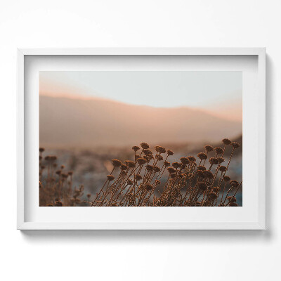 Obraz w ramie Boho romantyczny pejzaż traw