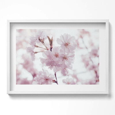 Obraz w ramie Delikatne bladoróżowe kwiaty