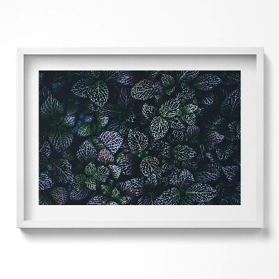 Obraz w ramie Ciemne dzikie liście