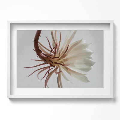 Obraz w ramie Delikatna roślina boho