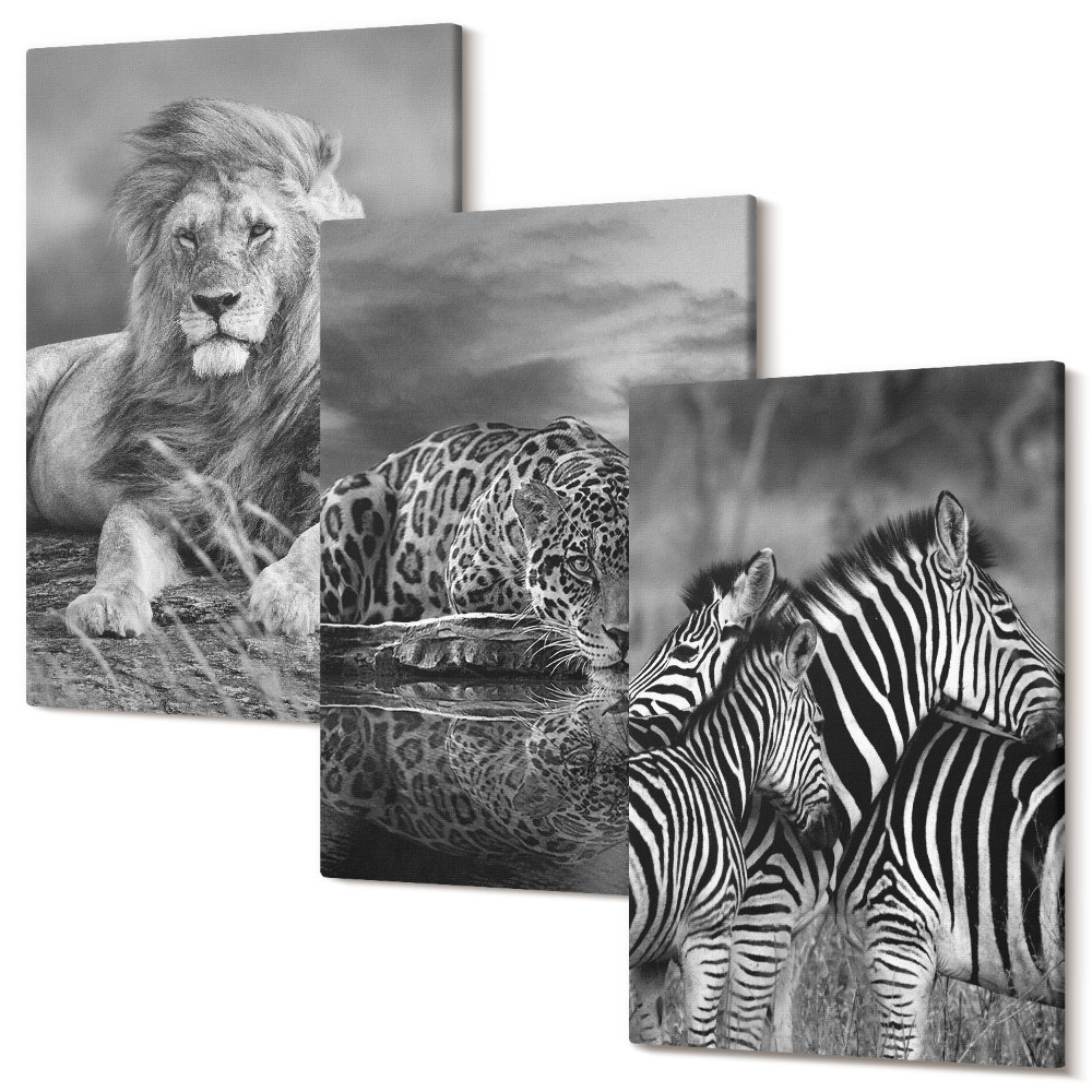 Zestaw obrazów na płótnie tryptyk Dzikie zwierzęta sawanny lew jaguar i zebry