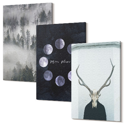 Zestaw obrazów na płótnie tryptyk Krajobraz leśny we mgle fazy księżyca czaszka jelenia