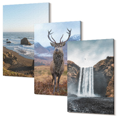 Zestaw obrazów 3 części tryptyk Krajobrazy górskie z wodospadem jeleniem i plażą