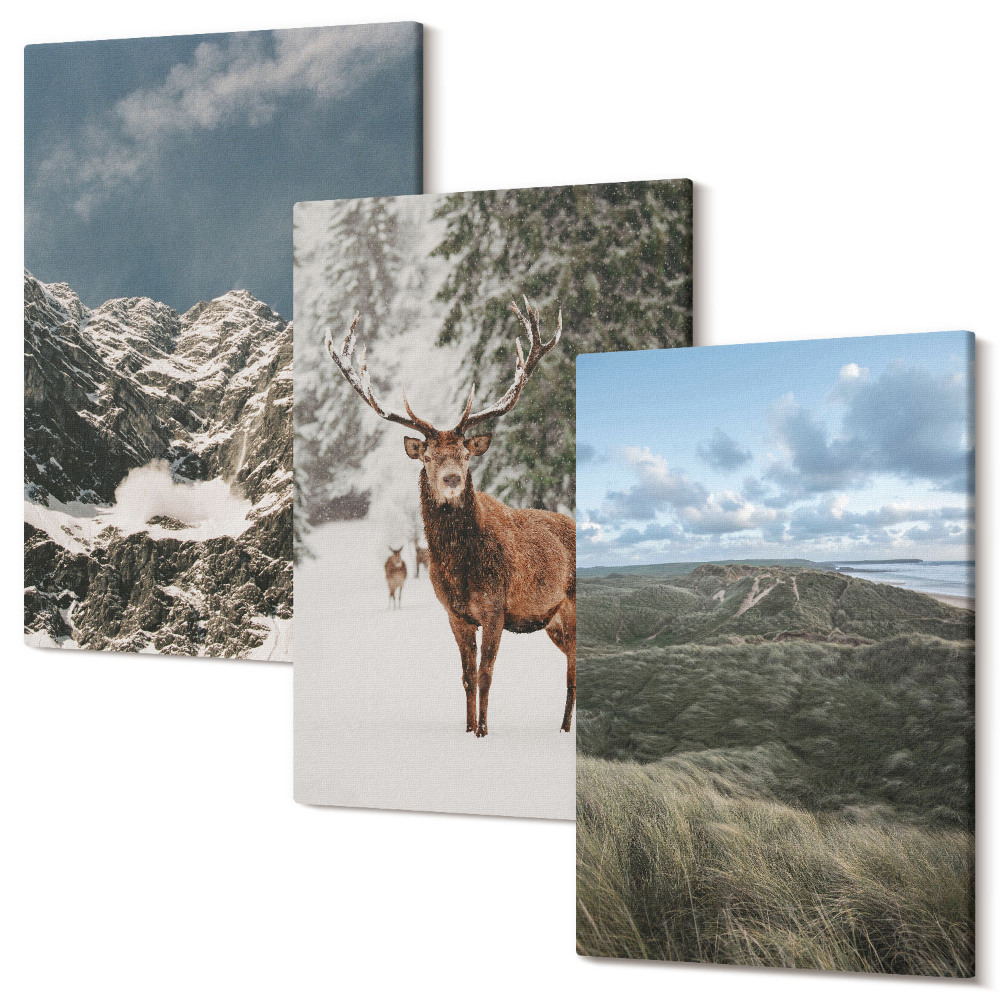 Zestaw obrazów na płótnie tryptyk Góry z śniegiem jeleń w lesie krajobrazy