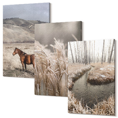 Zestaw obrazów tryptyk na ścianę Konie w krajobrazie z trawami i zimowym strumieniem