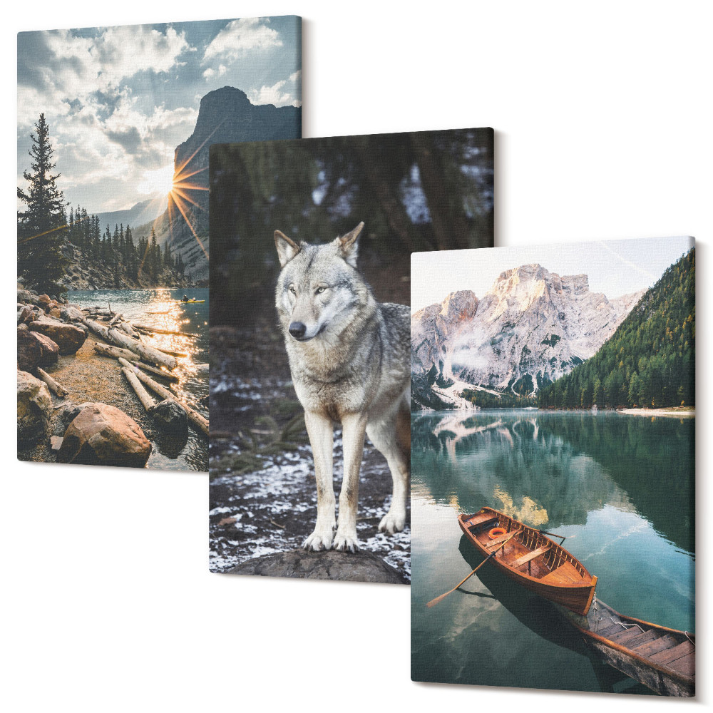 Zestaw obrazów na płótnie tryptyk Góry jeziora i wilk w naturalnym otoczeniu