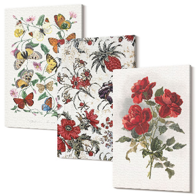 Zestaw obrazów na płótnie tryptyk Motyle kwiaty i czerwone róże w klasycznym stylu