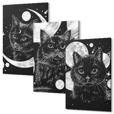 Zestaw obrazów 3 części tryptyk Czarne koty na tle księżyca i planet w kosmosie
