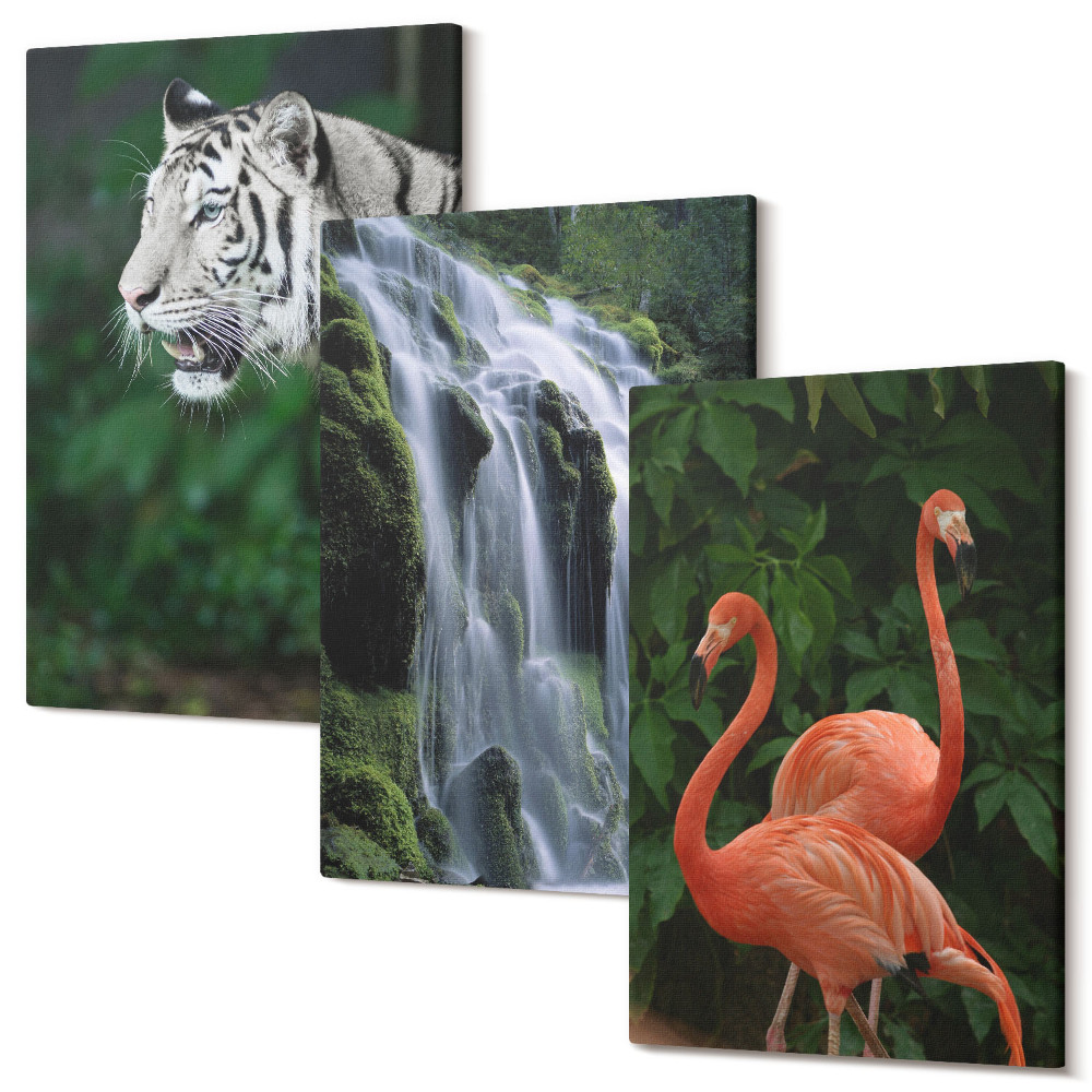 Zestaw obrazów 3 części tryptyk Tygrys wodospad i różowe flamingi w naturze