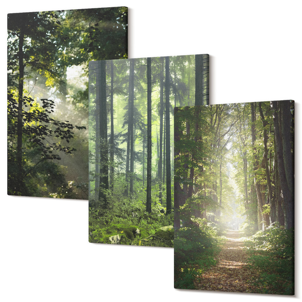 Zestaw obrazów tryptyk na ścianę Zielone lasy z promieniami światła i leśną ścieżką