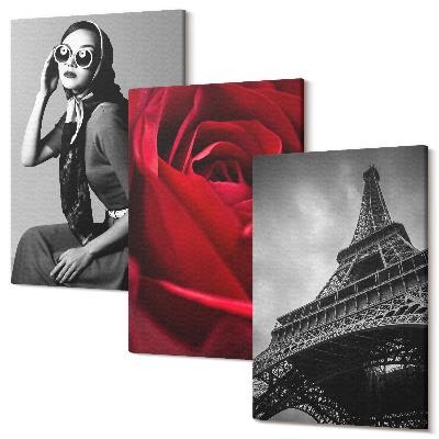 Zestaw obrazów tryptyk na ścianę Paryska kobieta w okularach róża i wieża Eiffla