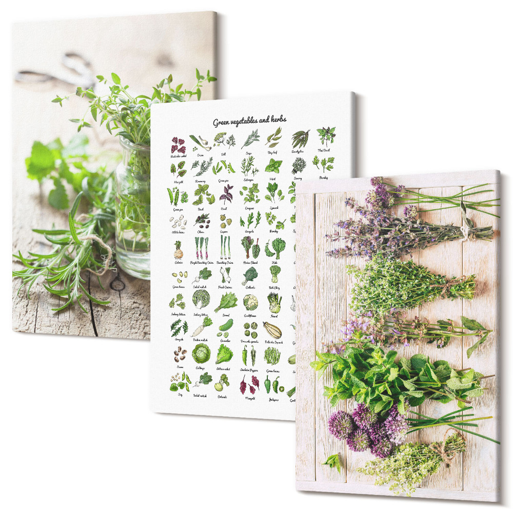 Zestaw obrazów 3 części tryptyk Suszone rośliny do kuchni lista ziół