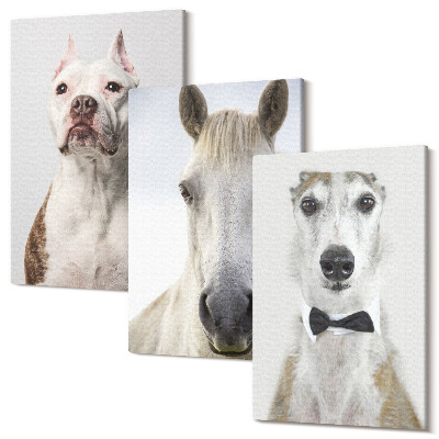 Zestaw obrazów na płótnie tryptyk Ciekawe portrety psów i konia w eleganckim stylu