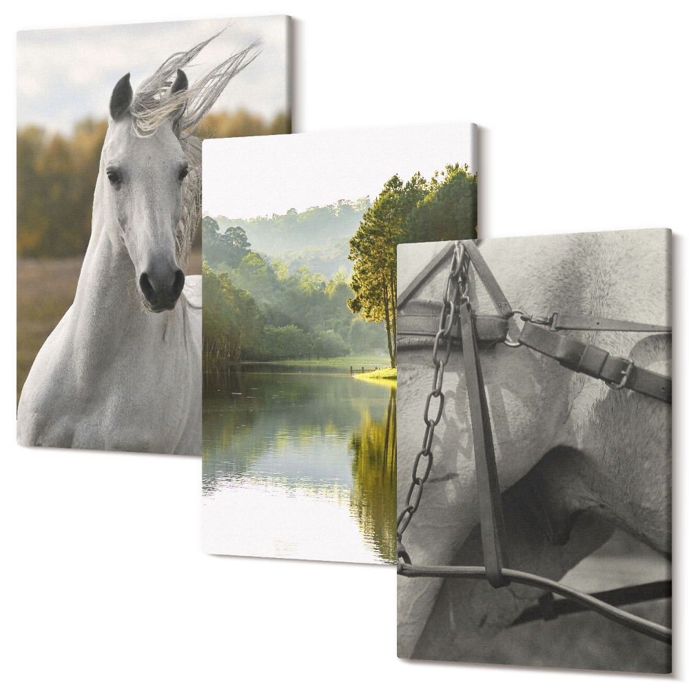 Zestaw obrazów na płótnie tryptyk Białe konie nad rzeką krajobraz natury