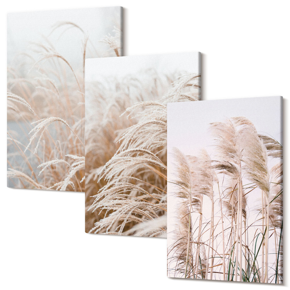 Zestaw obrazów na płótnie tryptyk Pola traw w delikatnych odcieniach brązu i beżu