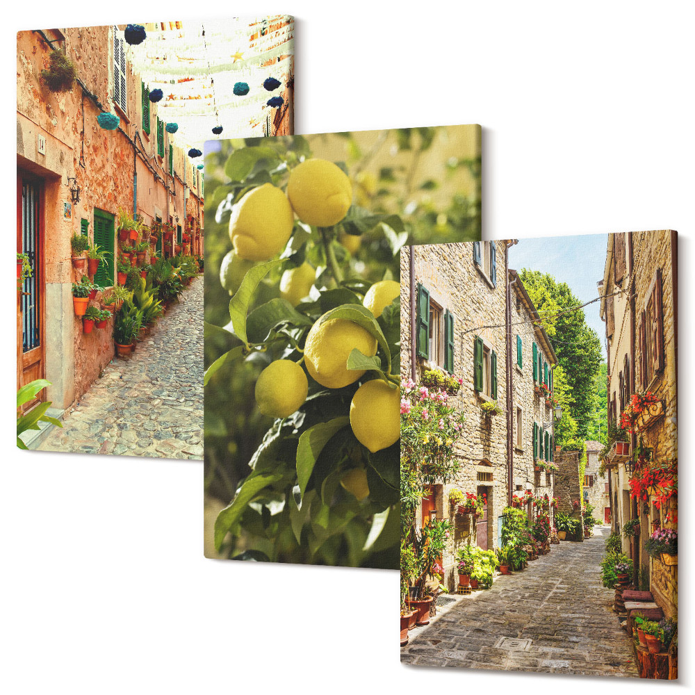 Zestaw obrazów na płótnie tryptyk Urokliwe uliczki z kwiatami i cytrynami w tle