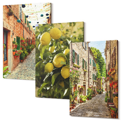 Zestaw obrazów na płótnie tryptyk Urokliwe uliczki z kwiatami i cytrynami w tle