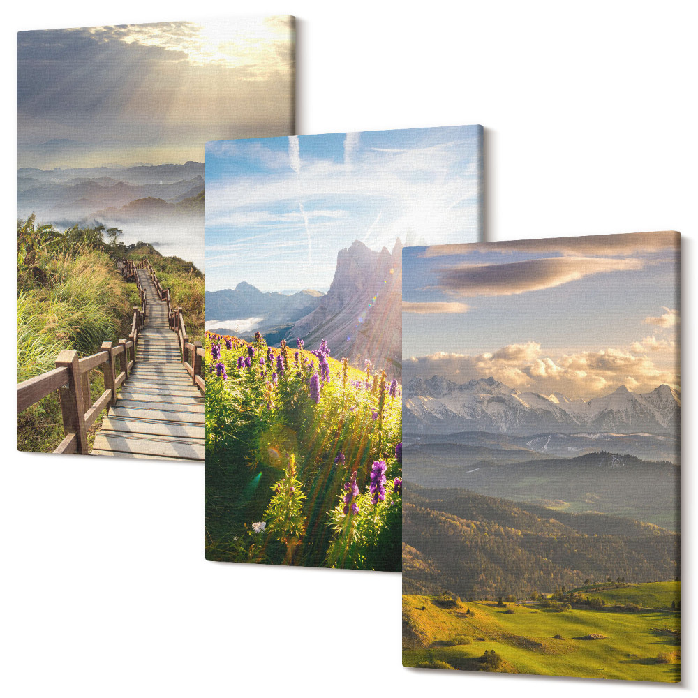 Zestaw obrazów tryptyk na ścianę Górskie krajobrazy z kwiatami niebem i ścieżką