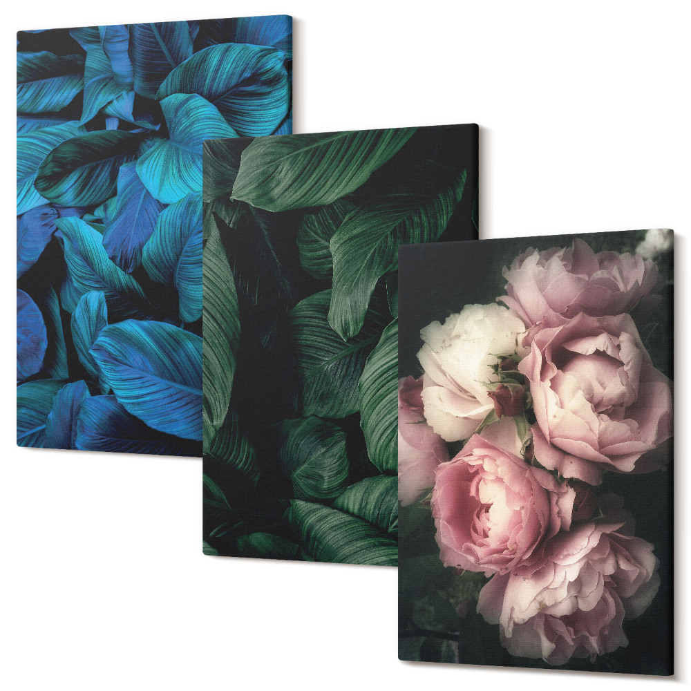 Zestaw obrazów 3 części tryptyk Liście i kwiaty w różnych kolorach